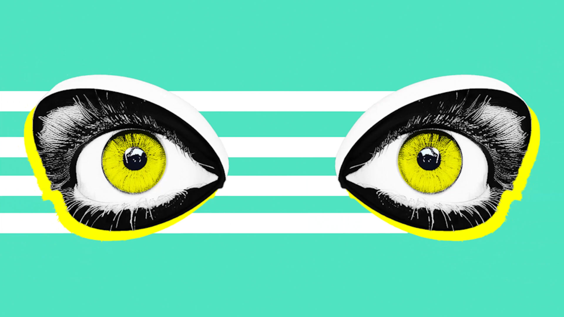 Leistungen: Animation - Baschnegger Ammann & Partner